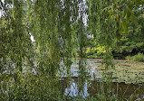 Flora und Botanischer Garten Köln