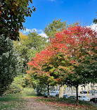 Morningside Park