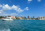 Miami Tours And Water Adventures