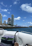 Miami Tours And Water Adventures