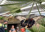 Butterfly House