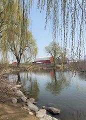 Chinguacousy Park-kinderdierentuin