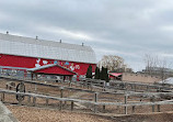 Chinguacousy Park Petting Zoo