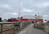 Chinguacousy Park Petting Zoo