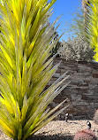 Desert Botanical Garden