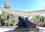 Desert Botanical Garden