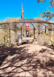 Desert Botanical Garden