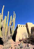 Desert Botanical Garden