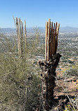 Camelback Mountain