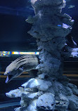 Sharjah Aquarium