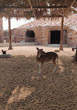 Al Khor Family Park & Zoo