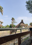 Al Khor Family Park & Zoo