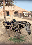 Al Khor Family Park & Zoo