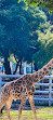 Al Khor Family Park & Zoo