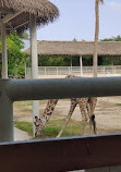 Al Khor Family Park & Zoo