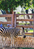 Al Khor Family Park & Zoo