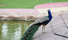 Al Khor Family Park & Zoo