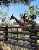 Al Khor Family Park & Zoo