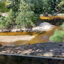 Cape Fear Botanical Garden