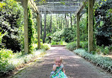 Cape Fear Botanical Garden