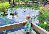 Cape Fear Botanical Garden