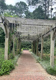 Cape Fear Botanical Garden