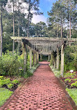 Cape Fear Botanical Garden