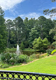 Cape Fear Botanical Garden