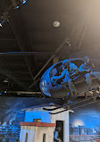 Airborne & Special Operations Museum Foundation