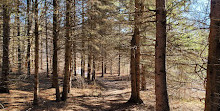 Centro Kortright para la conservación