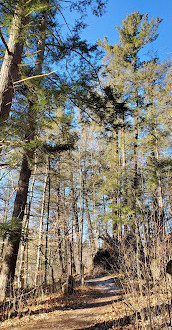 Centro Kortright para la conservación