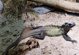 Reptilienzoo Allgäu