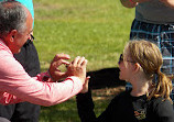 Outer Banks Center for Wildlife Education