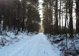 Mass Central Rail Trail