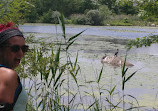 Quequechan River Rail Trail