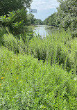 Quequechan River Rail Trail