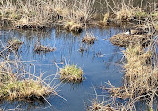 Quequechan River Rail Trail