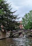 Boat tours