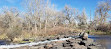 South Platte Park and Carson Nature Center