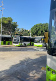 Valletta Bus Station