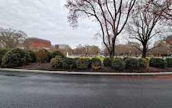 Centro de visitantes de la Casa Blanca