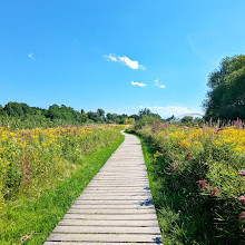 Chapman Mills Conservation Area