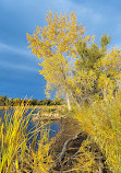 Kendrick Lake Park