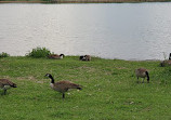 Kendrick Lake Park