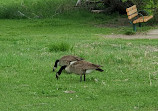 Kendrick Lake Park