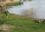 Kendrick Lake Park