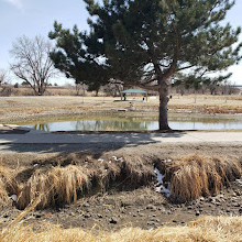 Twin Lakes Park