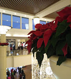 El centro comercial de la Bahía Plaza
