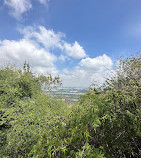 Mysore View Point