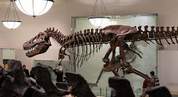 Halle der Saurier-Dinosaurier